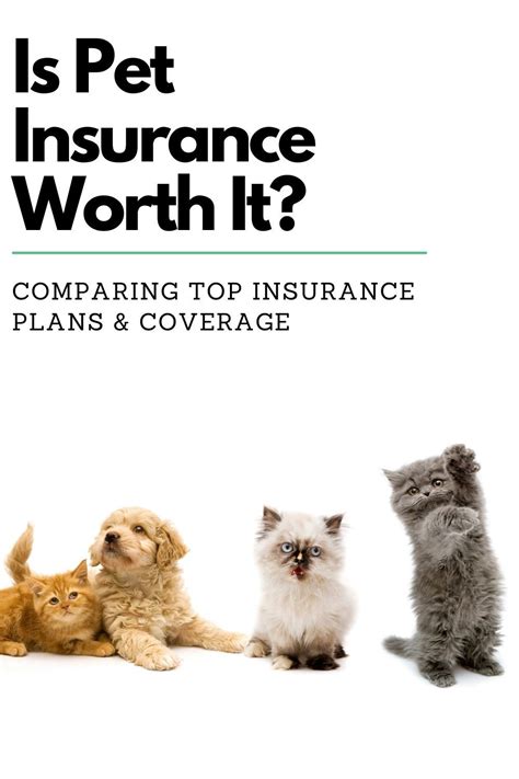 Is pet insurance worth it. Things To Know About Is pet insurance worth it. 
